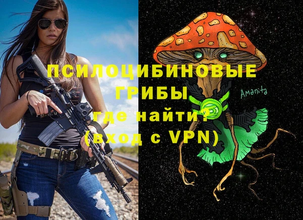 mdpv Бронницы